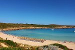 Posidonia