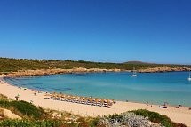 Posidonia