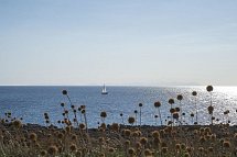 Residenz Menorca Cala Blanes by Pierre & Vacance