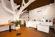 Basic Braga by Axis
