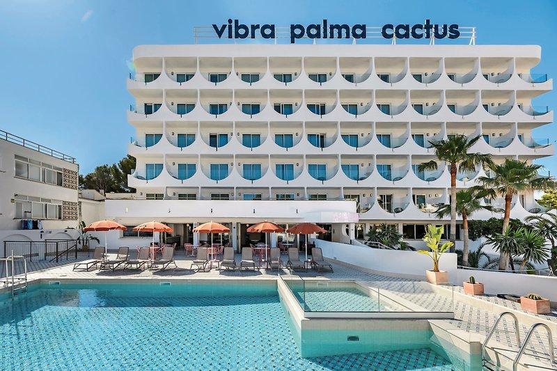 Vibra Palma Cactus