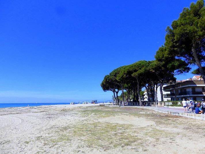 Rentalmar Pins Marina