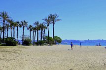 Rentalmar Pins Marina