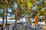 Blue Dolphin Resort Hotel