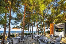 Blue Dolphin Resort Hotel