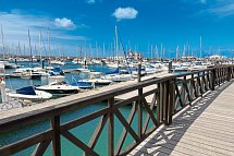 Cordial Marina Blanca