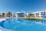 Cordial Marina Blanca