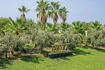 Roma Beach Resort & Spa