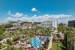 Trendy Palm Beach Adults only
