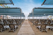 Trendy Palm Beach Adults only