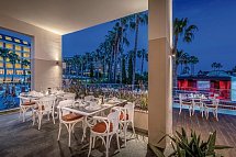 Trendy Palm Beach Adults only