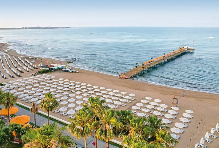 Arum Barut Collection