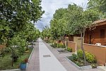 Özlem Garden