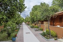 Özlem Garden