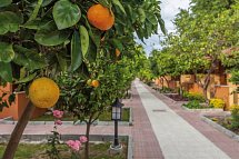 Özlem Garden