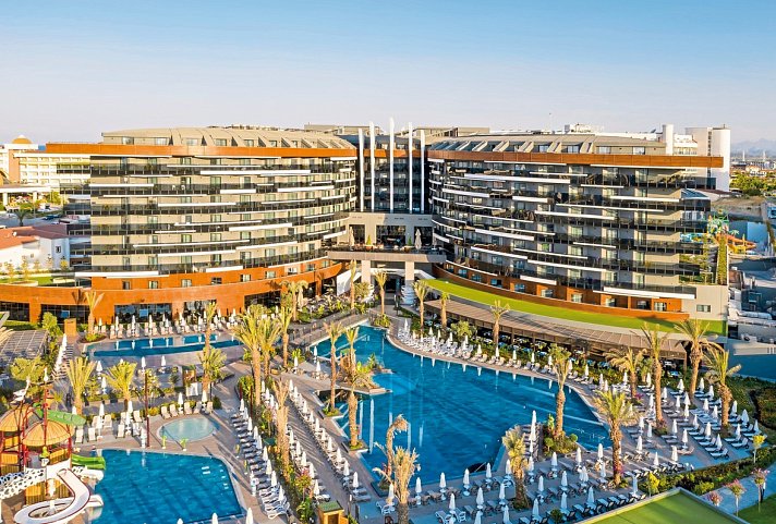 Calyptus Kirman Premium