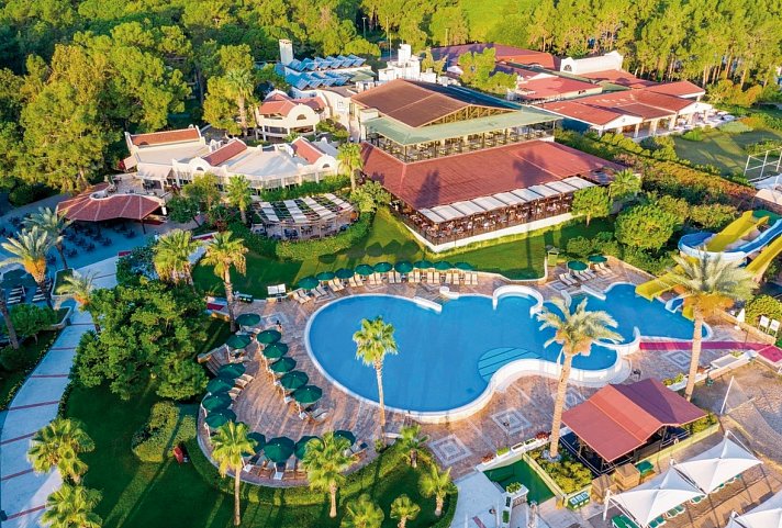 Gypsophila Club Marine