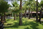 Royal Garden Beach