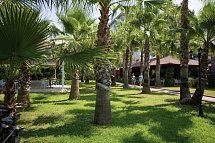 Royal Garden Beach
