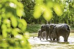 Nord-Thailand mit Goldenem Dreieck (Gruppenreise ohne Bangkok)