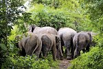 Nord-Thailand mit Goldenem Dreieck (Gruppenreise ohne Bangkok)
