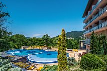 Thermal Hotel Visegrad