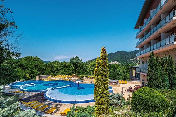 Thermal Hotel Visegrad