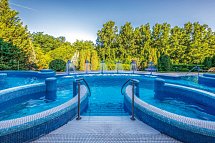 Thermal Hotel Visegrad