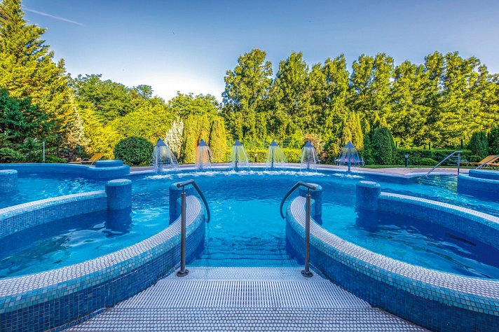 Thermal Hotel Visegrad
