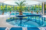 Thermal Hotel Visegrad