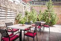 Alpine Mugon - Terrasse