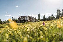 Hotel Steger-Dellai