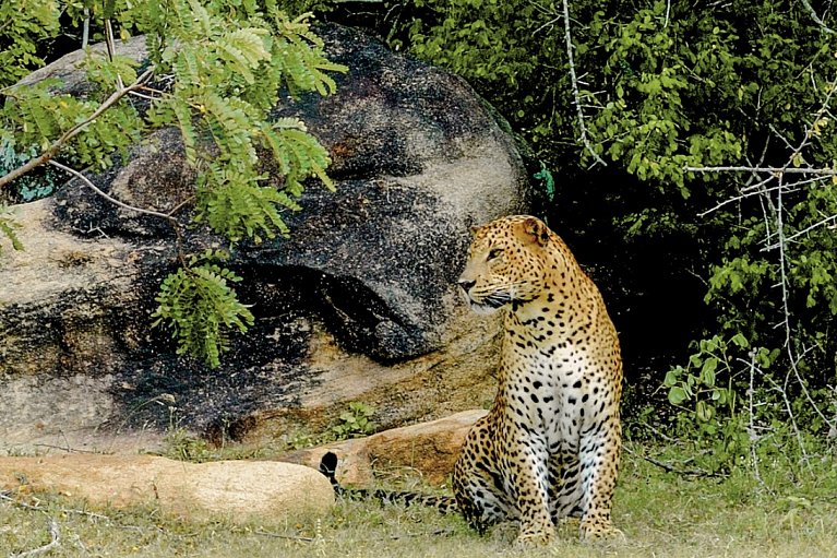 Sri Lanka Allround (Gruppenreise)