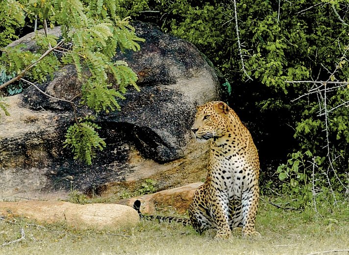 Sri Lanka Allround (Gruppenreise)