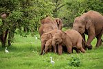 Sri Lanka Allround (Gruppenreise)