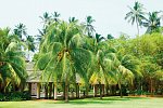 The Palms Hotel