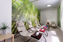 AHORN Waldhotel Altenberg - Wellness