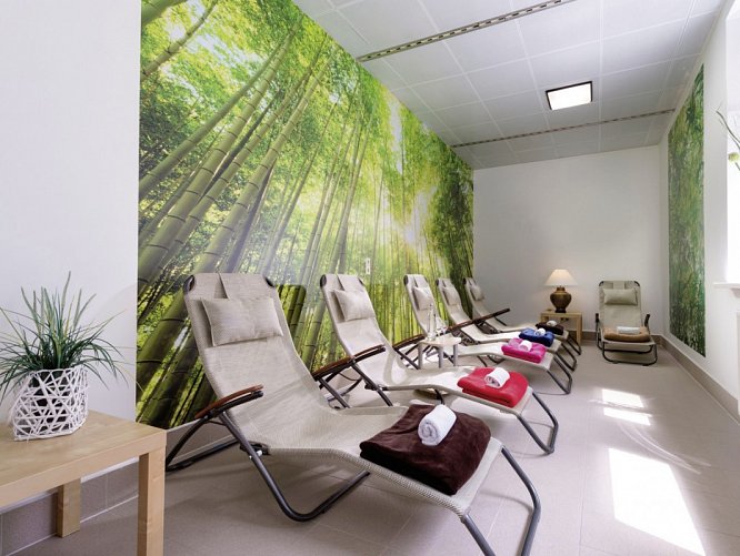 AHORN Waldhotel Altenberg - Wellness