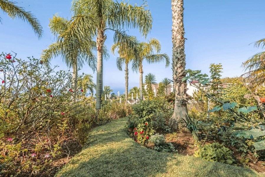 Ocean Gardens