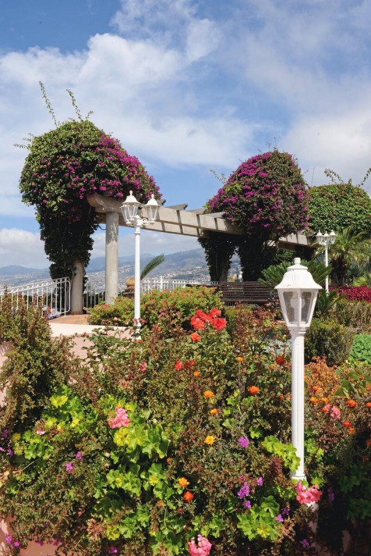 Ocean Gardens