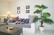 Casablanca Suites Fuerteventura