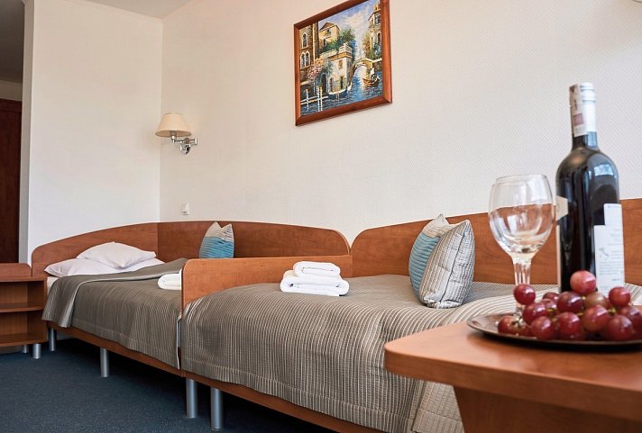 Hotel Wellness Medical Spa Unitral - Wohnbeispiel Doppelzimmer Bestpreis (Zimmercodierung DP1)