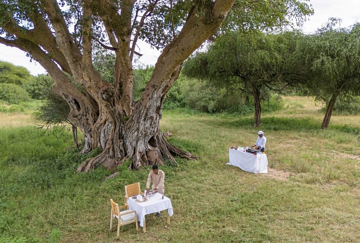 Abenteuer Tansania - Tarangire Conserve Camp