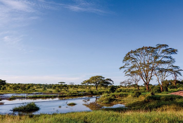 Tansania Explorer - Manyara Nationalpark