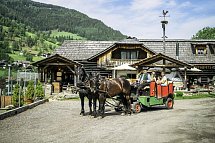 Trattlerhof
