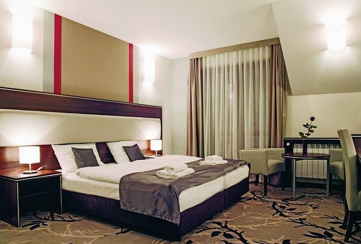 Era Hotel - Wohnbeispiel Doppelzimmer Standard (Zimmercodierungen DG1 & DG3)