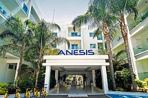 Anesis