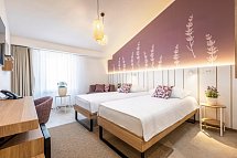 Vile Park Premium - Wohnbeispiel Doppelzimmer Premium (Zimmercodierung DM1)