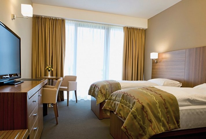 Bohinj Eco Hotel - Wohnbeispiel Doppelzimmer Superior (Zimmercodierung DS1)