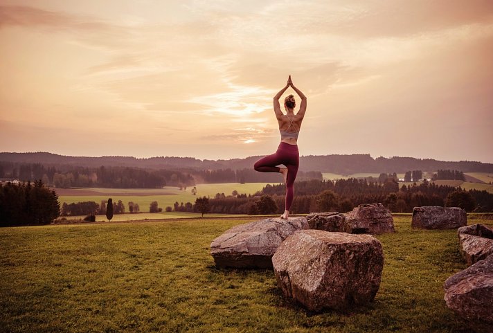 Falkensteiner Hotel Bad Leonfelden 4*S